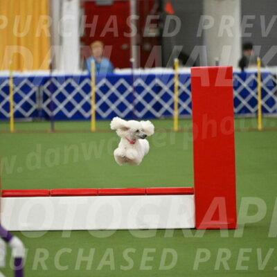 MAS-EX-STD-12-Inch_5059