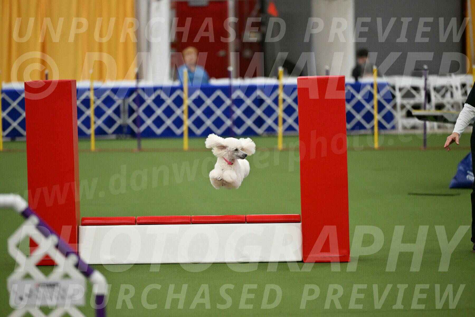 MAS-EX-STD-12-Inch_5059