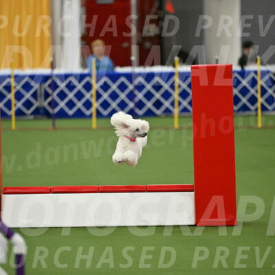 MAS-EX-STD-12-Inch_5060