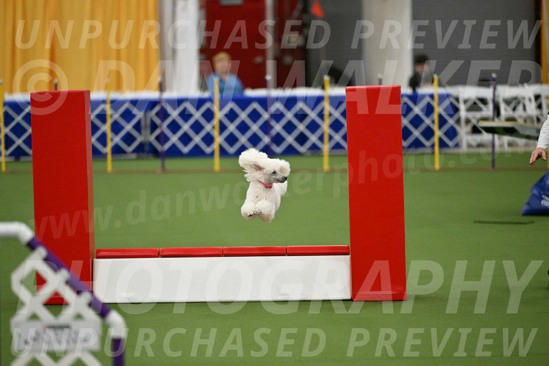 MAS-EX-STD-12-Inch_5060