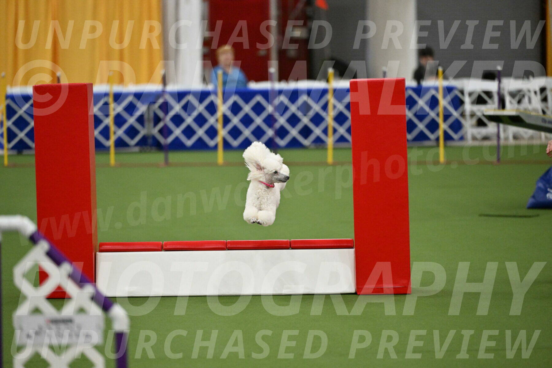 MAS-EX-STD-12-Inch_5061