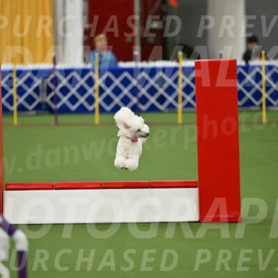 MAS-EX-STD-12-Inch_5061