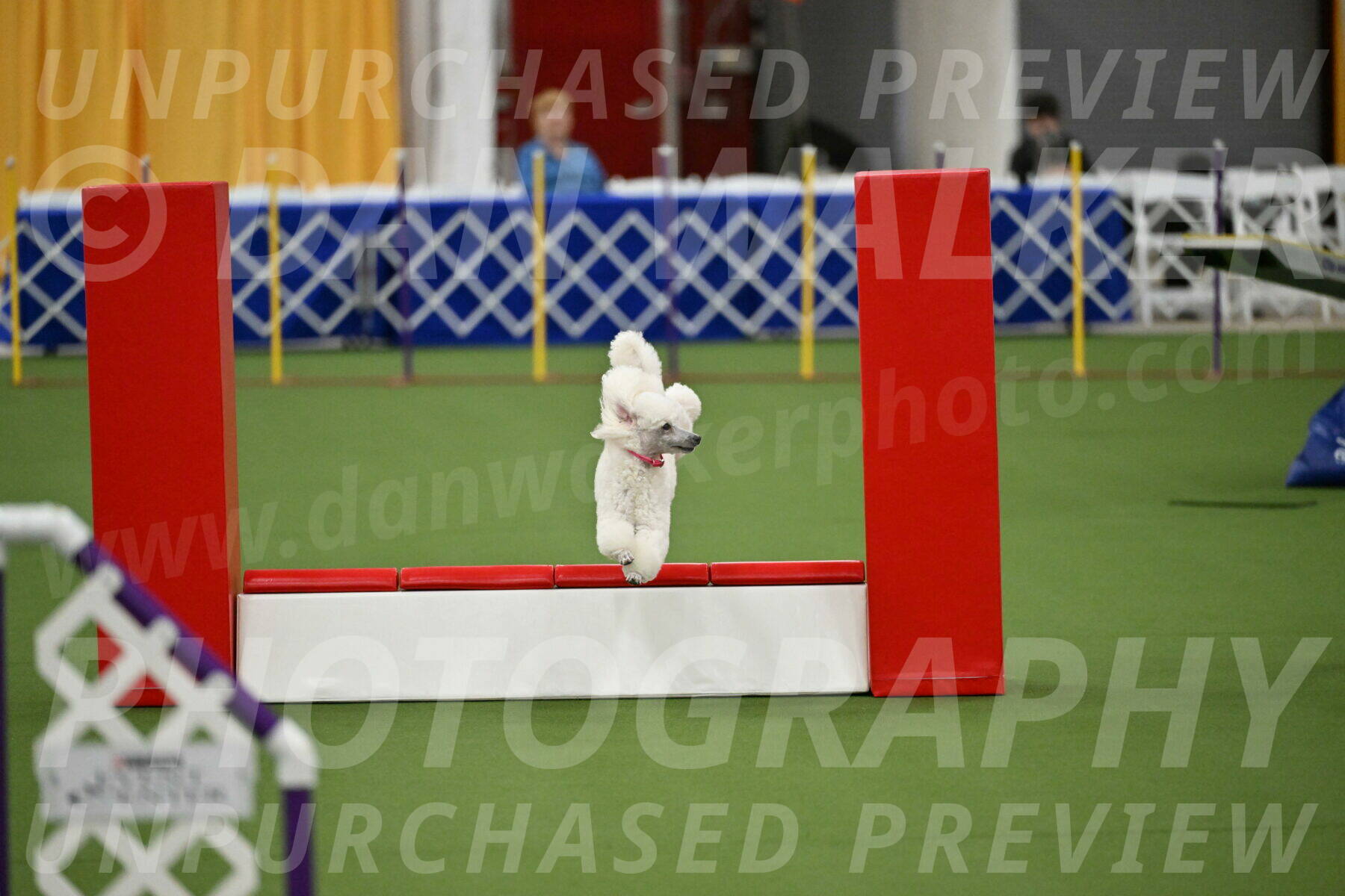 MAS-EX-STD-12-Inch_5062