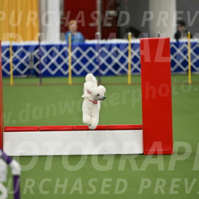 MAS-EX-STD-12-Inch_5062