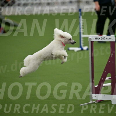 MAS-EX-STD-12-Inch_5066