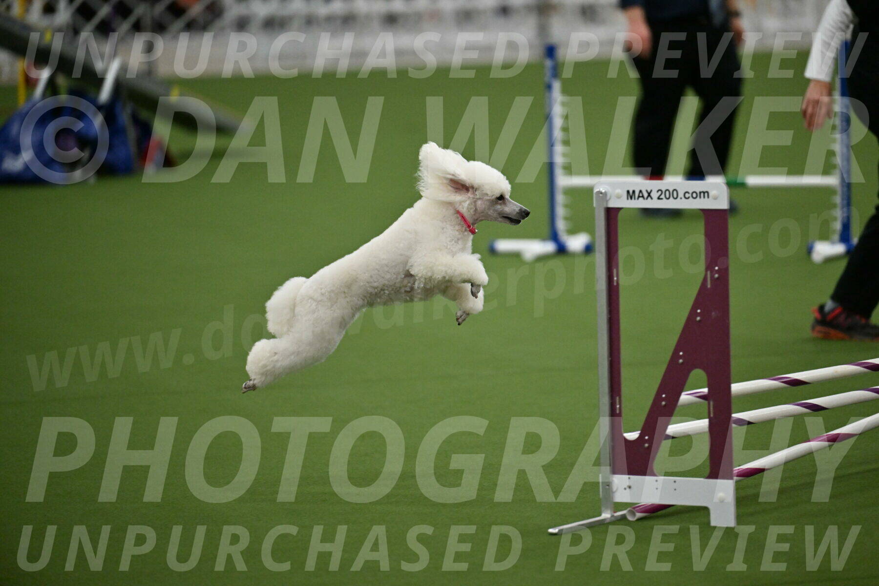 MAS-EX-STD-12-Inch_5066