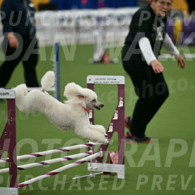 MAS-EX-STD-12-Inch_5072