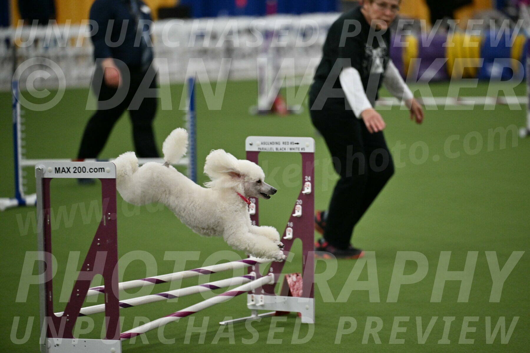 MAS-EX-STD-12-Inch_5072