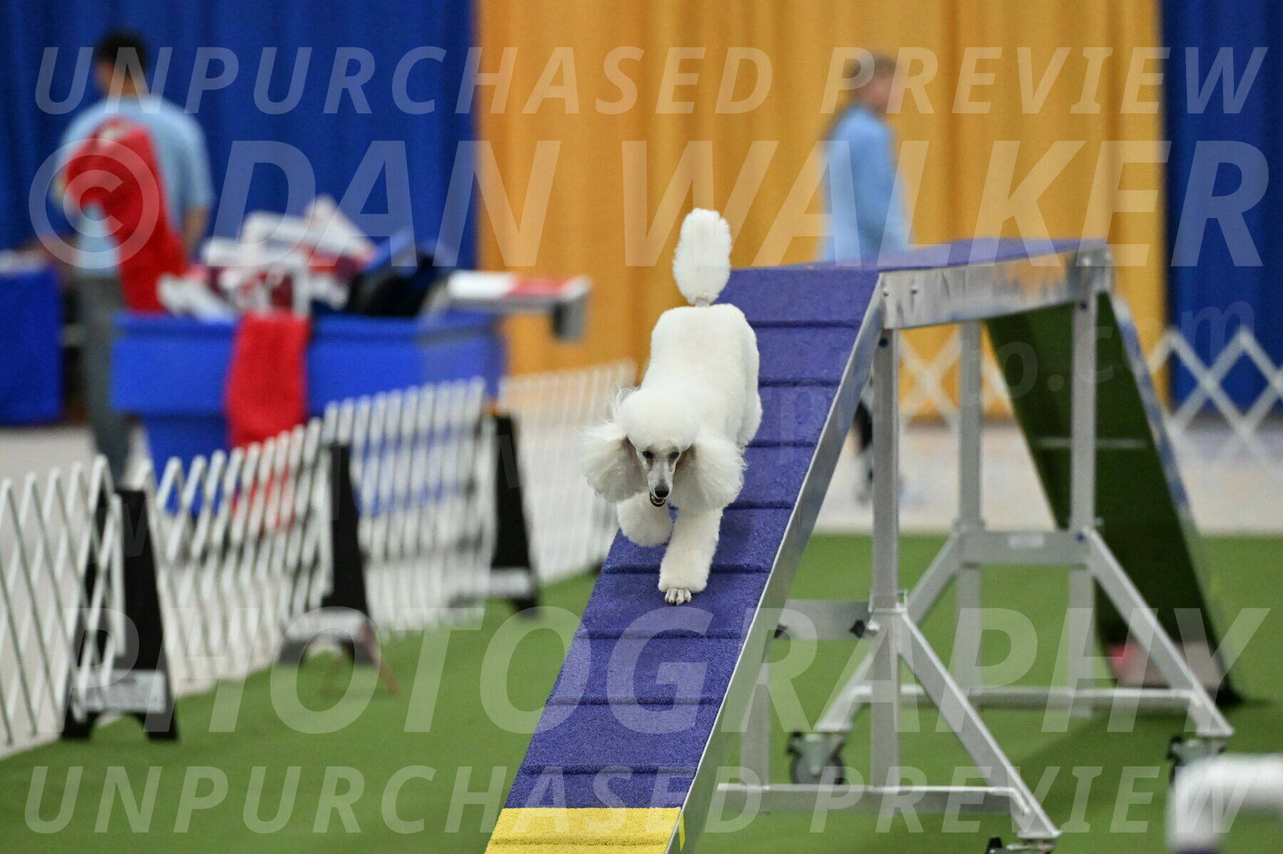 MAS-EX-STD-12-Inch_5081