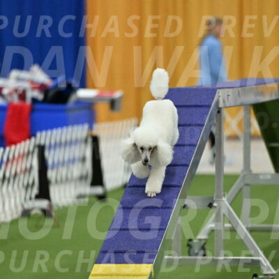 MAS-EX-STD-12-Inch_5081