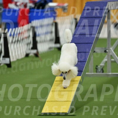 MAS-EX-STD-12-Inch_5082