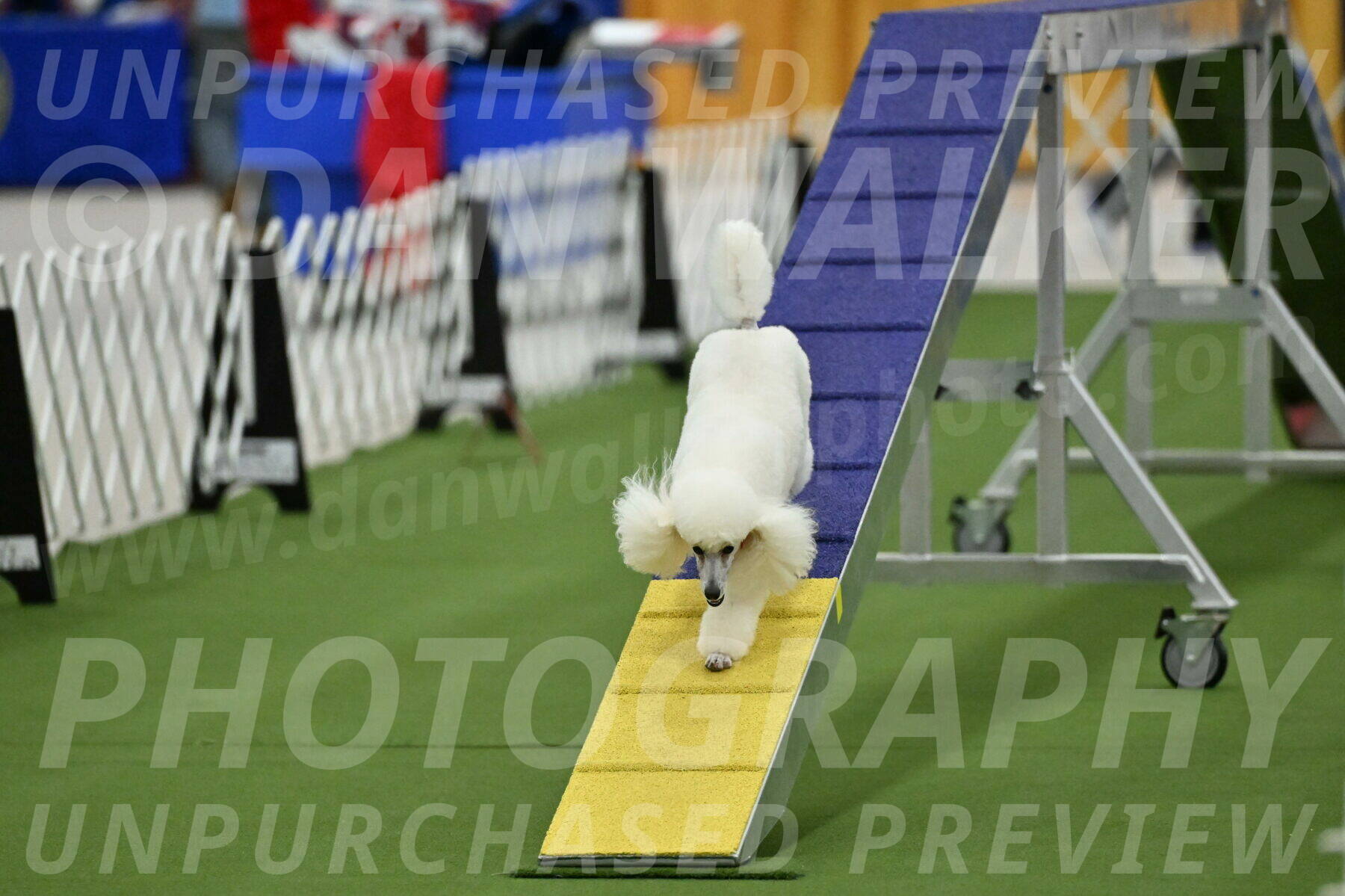 MAS-EX-STD-12-Inch_5082