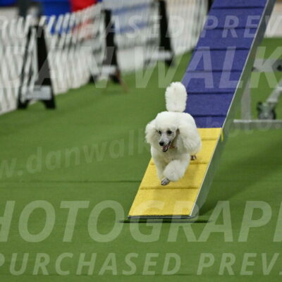 MAS-EX-STD-12-Inch_5086