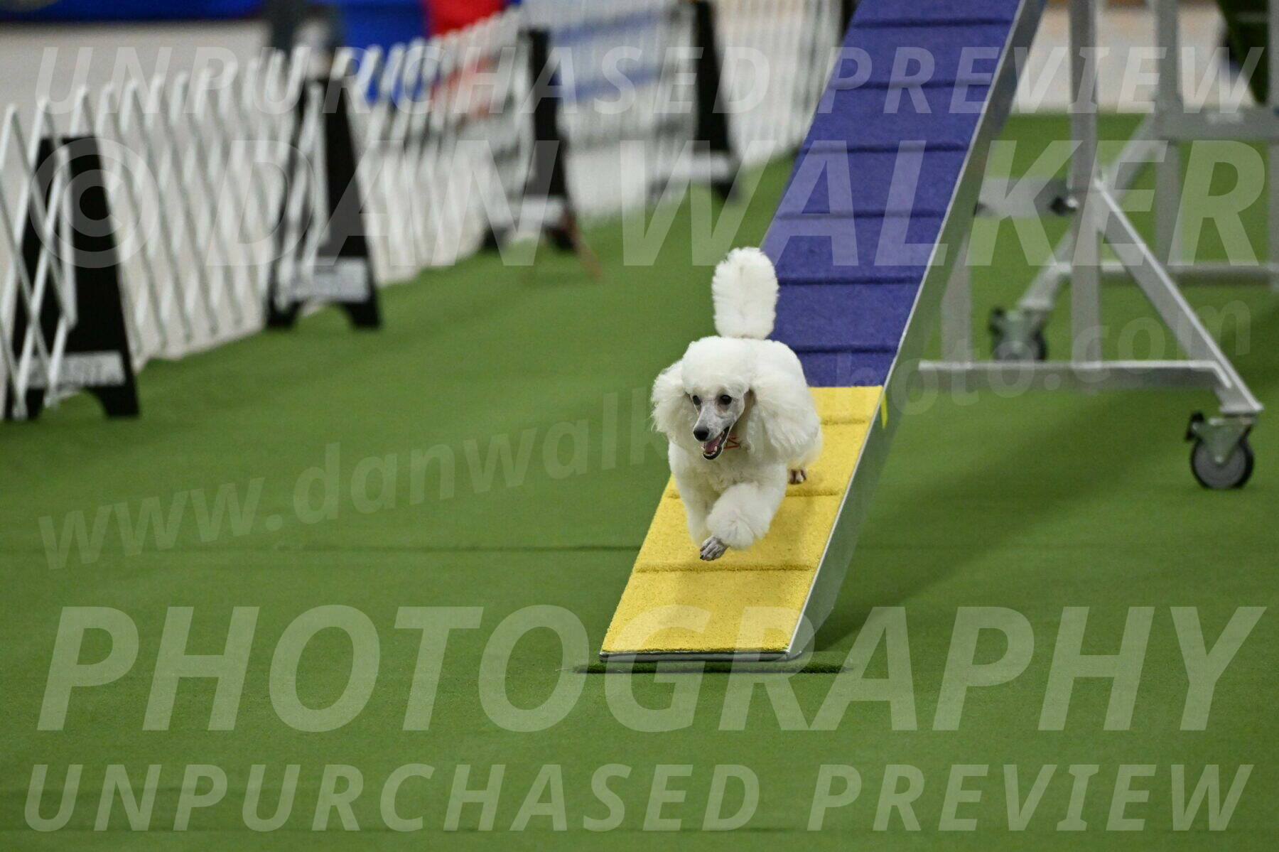 MAS-EX-STD-12-Inch_5086