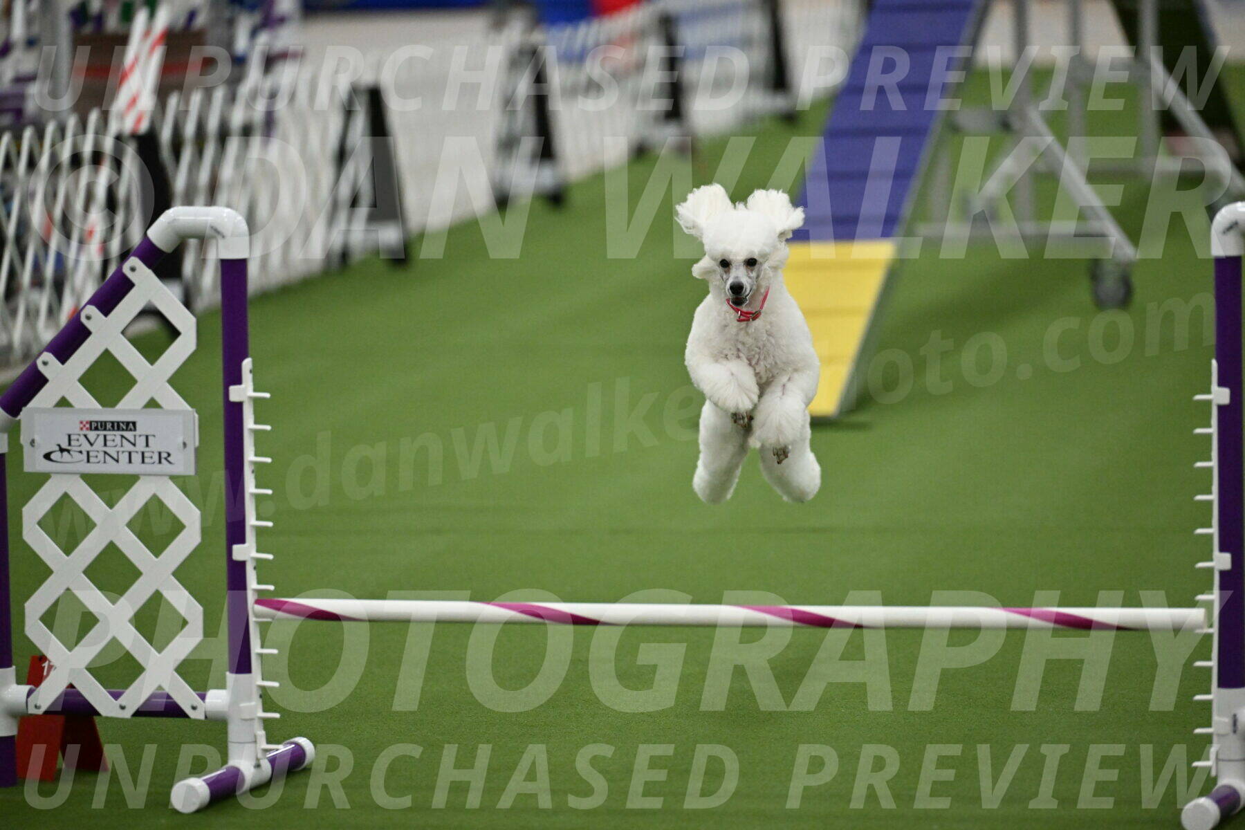 MAS-EX-STD-12-Inch_5088