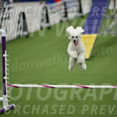 MAS-EX-STD-12-Inch_5088