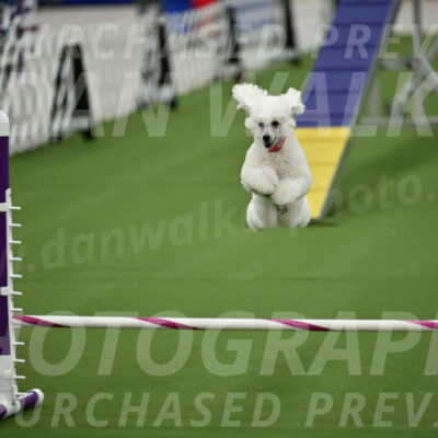 MAS-EX-STD-12-Inch_5089