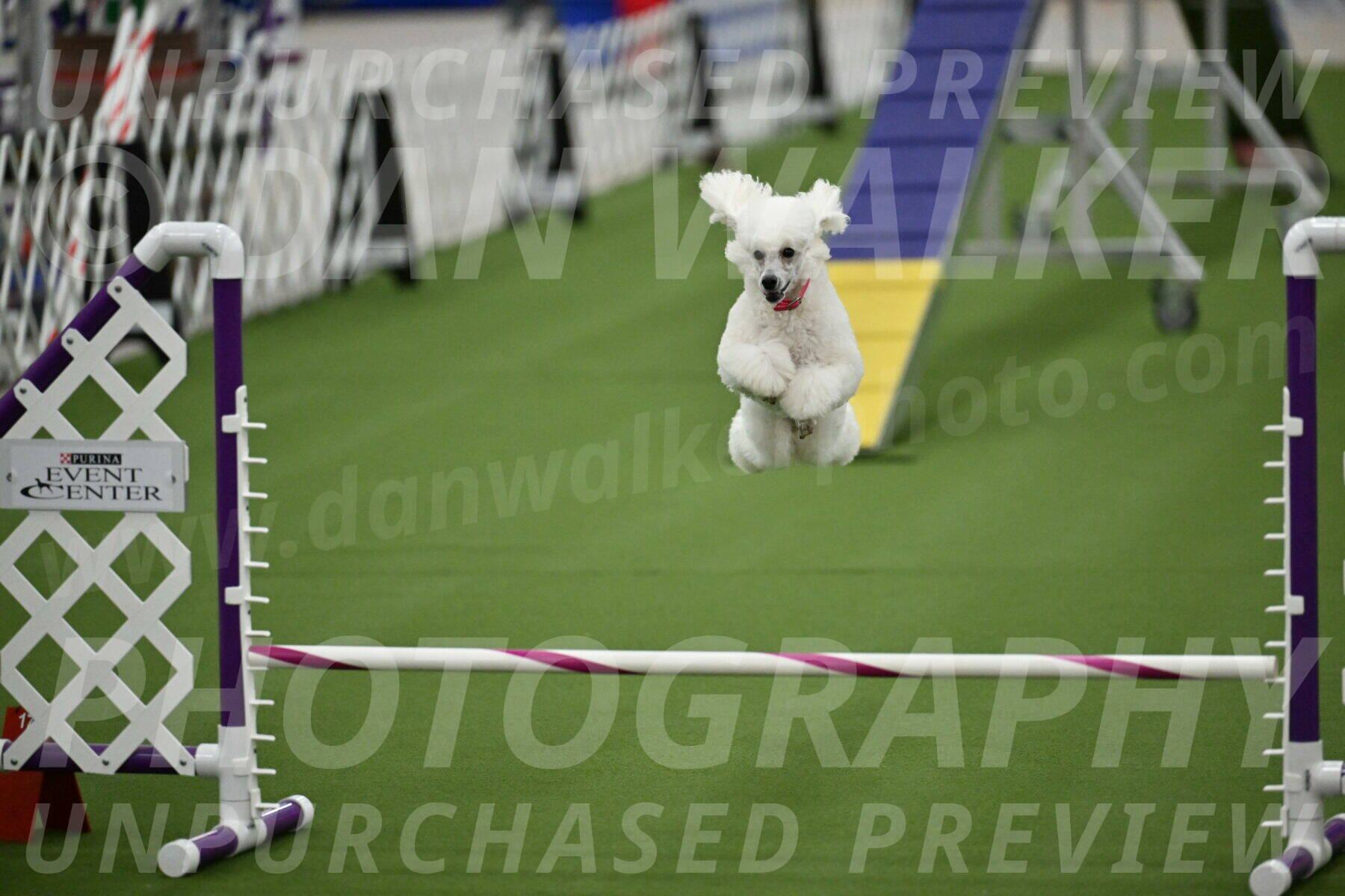 MAS-EX-STD-12-Inch_5089