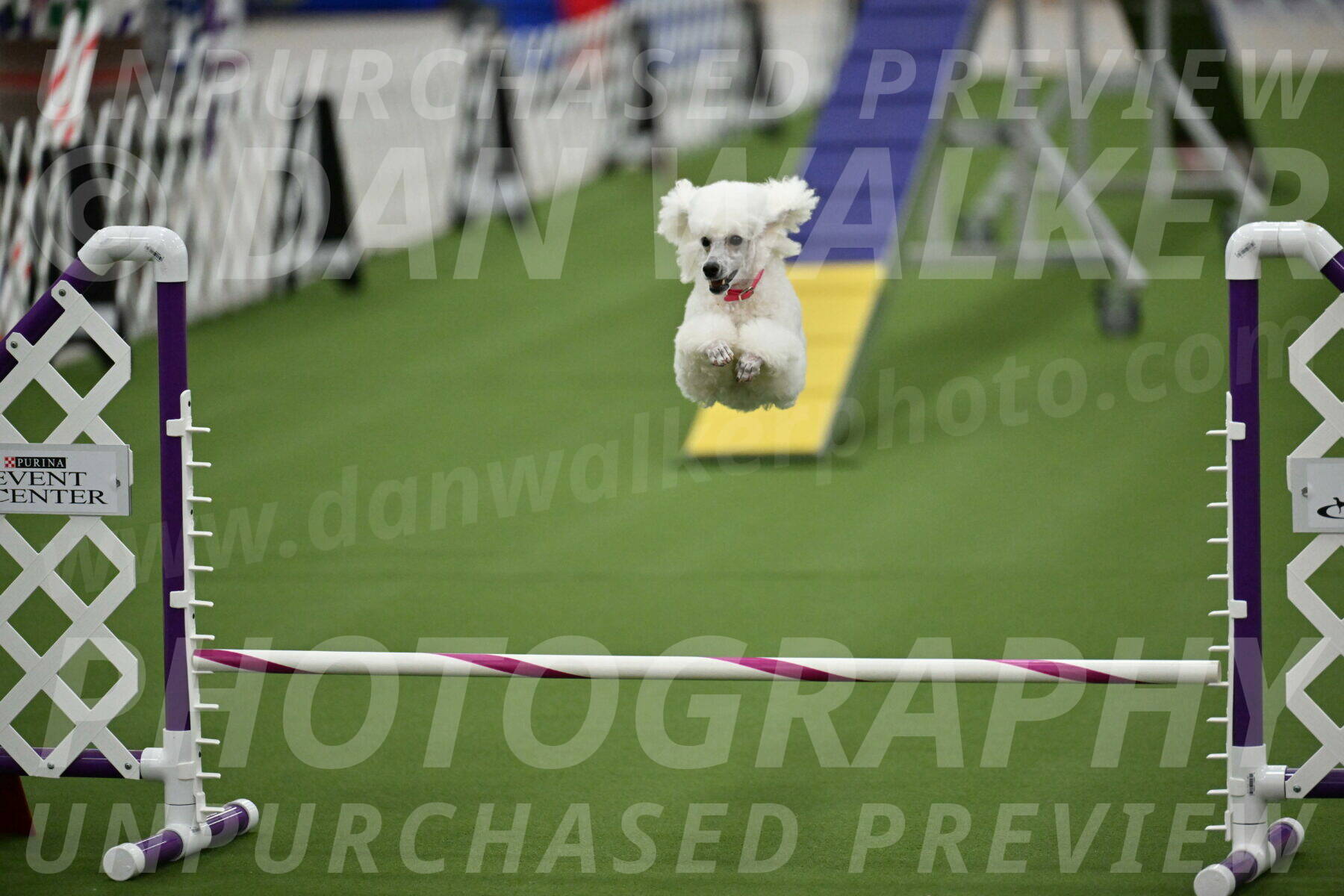 MAS-EX-STD-12-Inch_5090