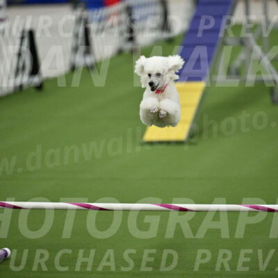 MAS-EX-STD-12-Inch_5090