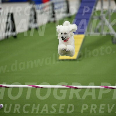 MAS-EX-STD-12-Inch_5091