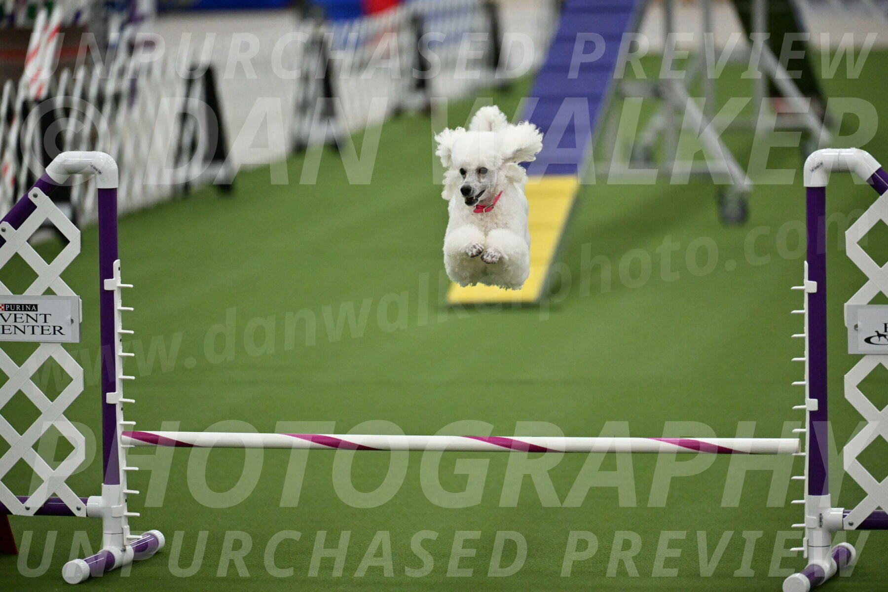 MAS-EX-STD-12-Inch_5091