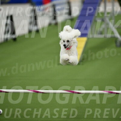 MAS-EX-STD-12-Inch_5092