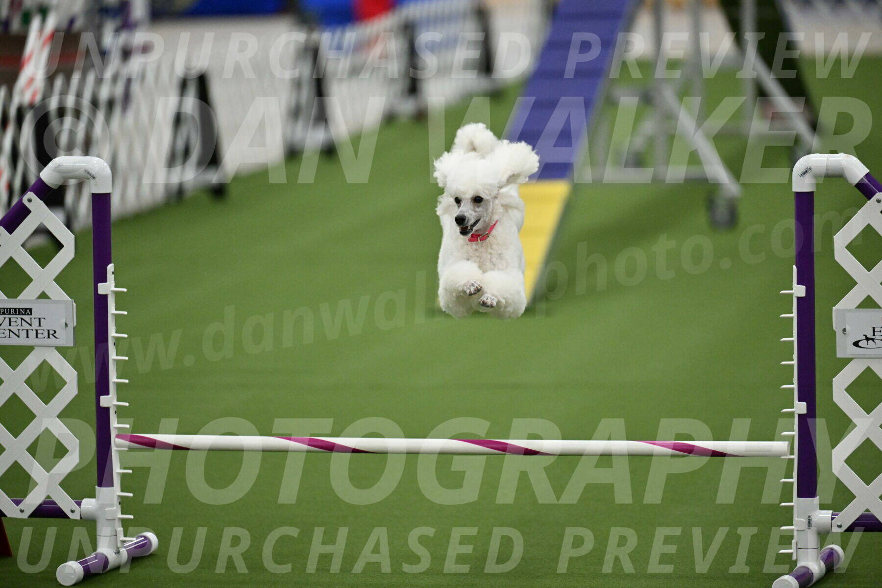 MAS-EX-STD-12-Inch_5092