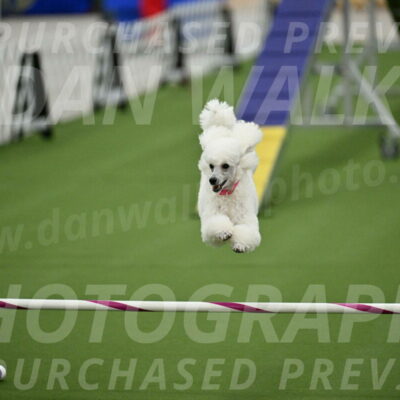 MAS-EX-STD-12-Inch_5093