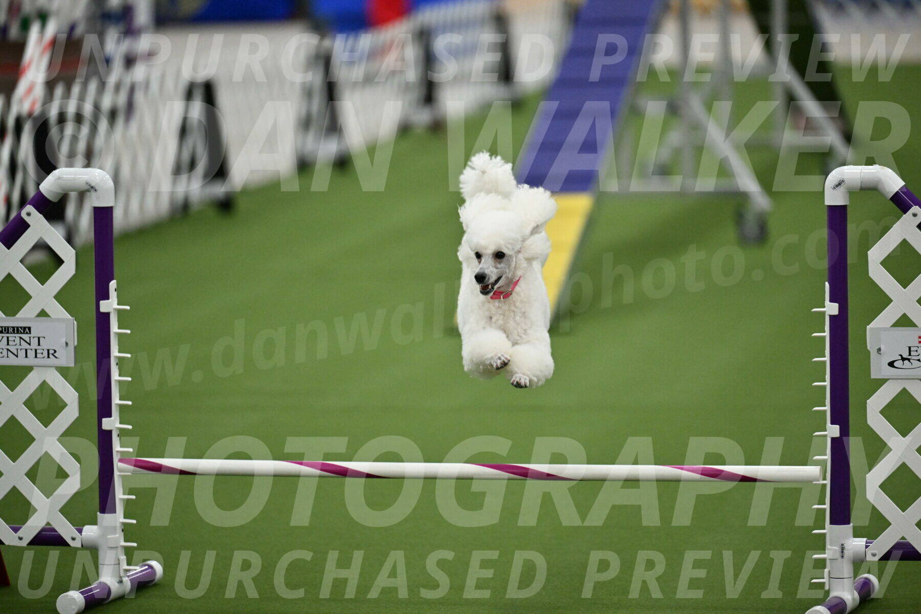 MAS-EX-STD-12-Inch_5093