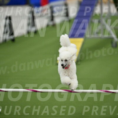 MAS-EX-STD-12-Inch_5094