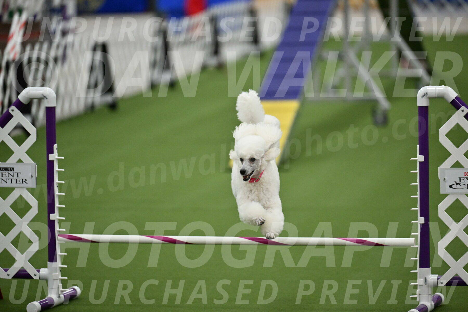 MAS-EX-STD-12-Inch_5094