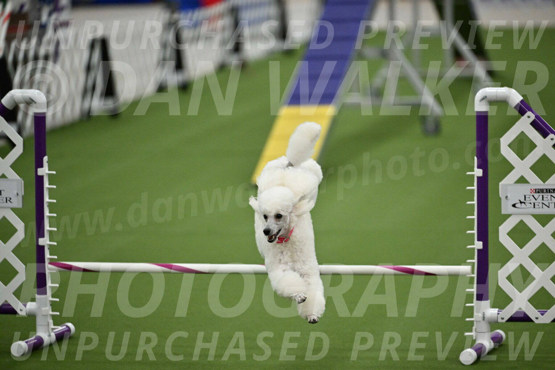 MAS-EX-STD-12-Inch_5095