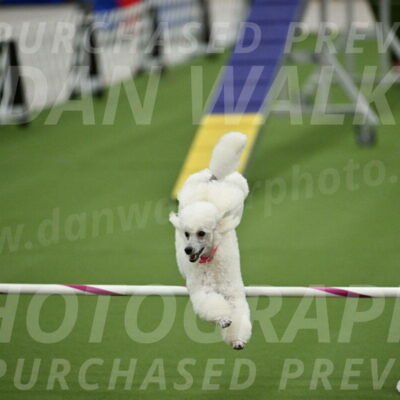 MAS-EX-STD-12-Inch_5095