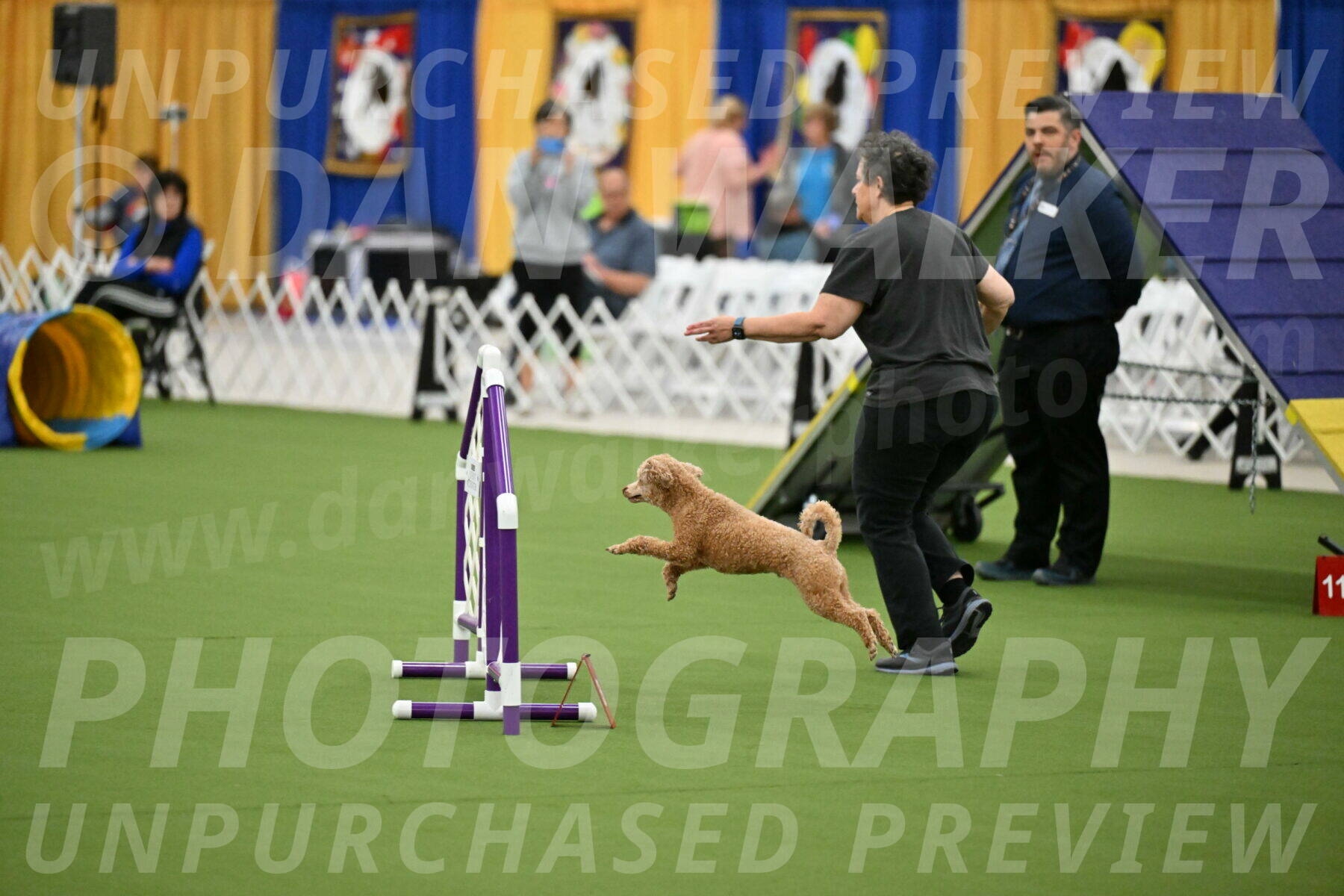 MAS-EX-STD-12-Inch_5098