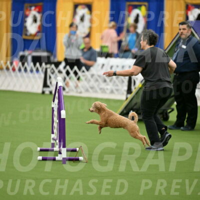 MAS-EX-STD-12-Inch_5098