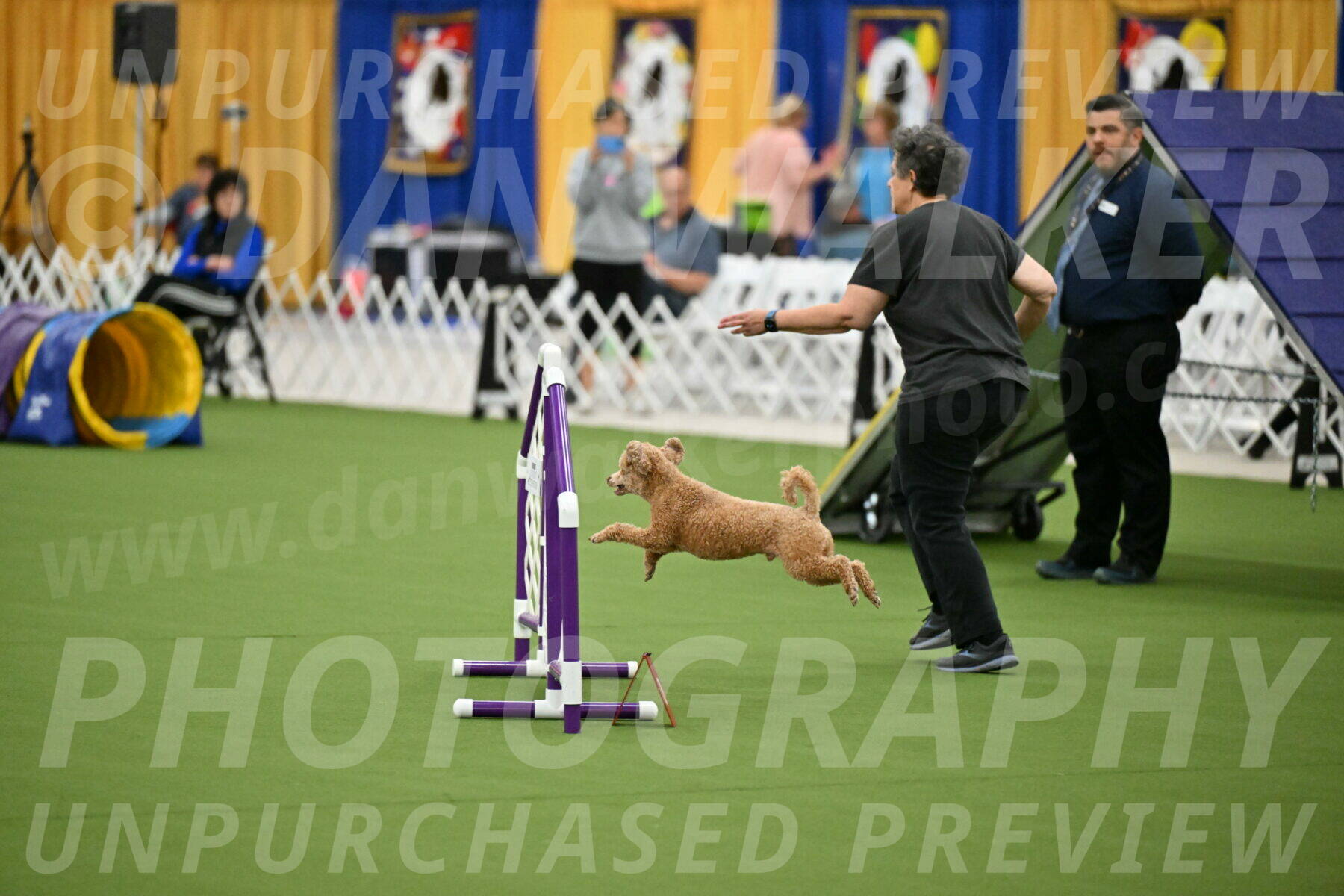 MAS-EX-STD-12-Inch_5099