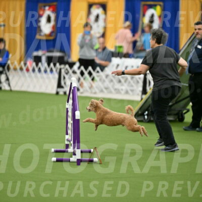 MAS-EX-STD-12-Inch_5099