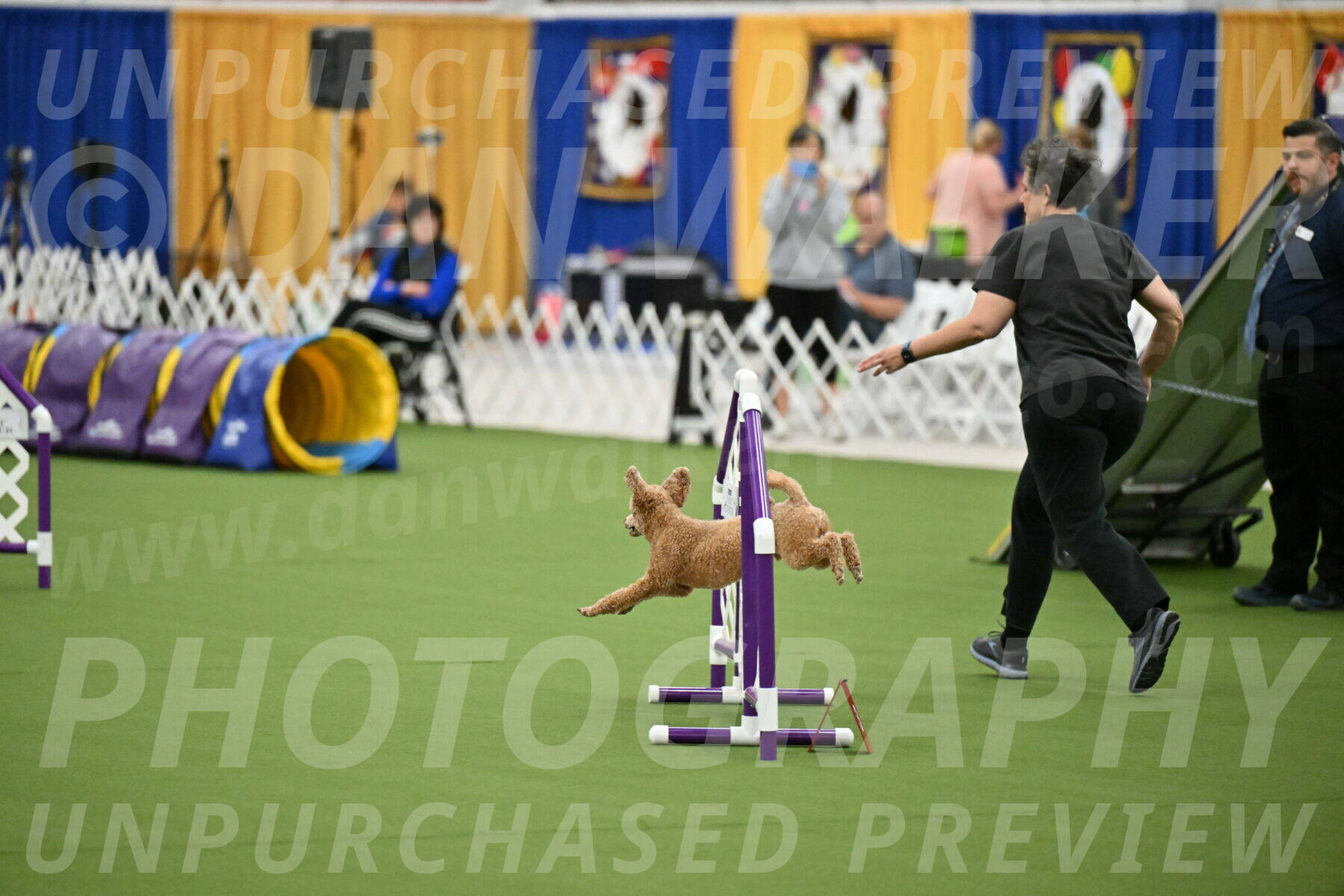 MAS-EX-STD-12-Inch_5100