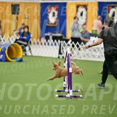 MAS-EX-STD-12-Inch_5100