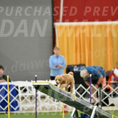 MAS-EX-STD-12-Inch_5104