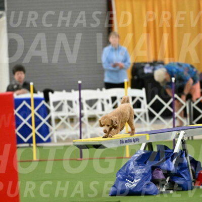 MAS-EX-STD-12-Inch_5106