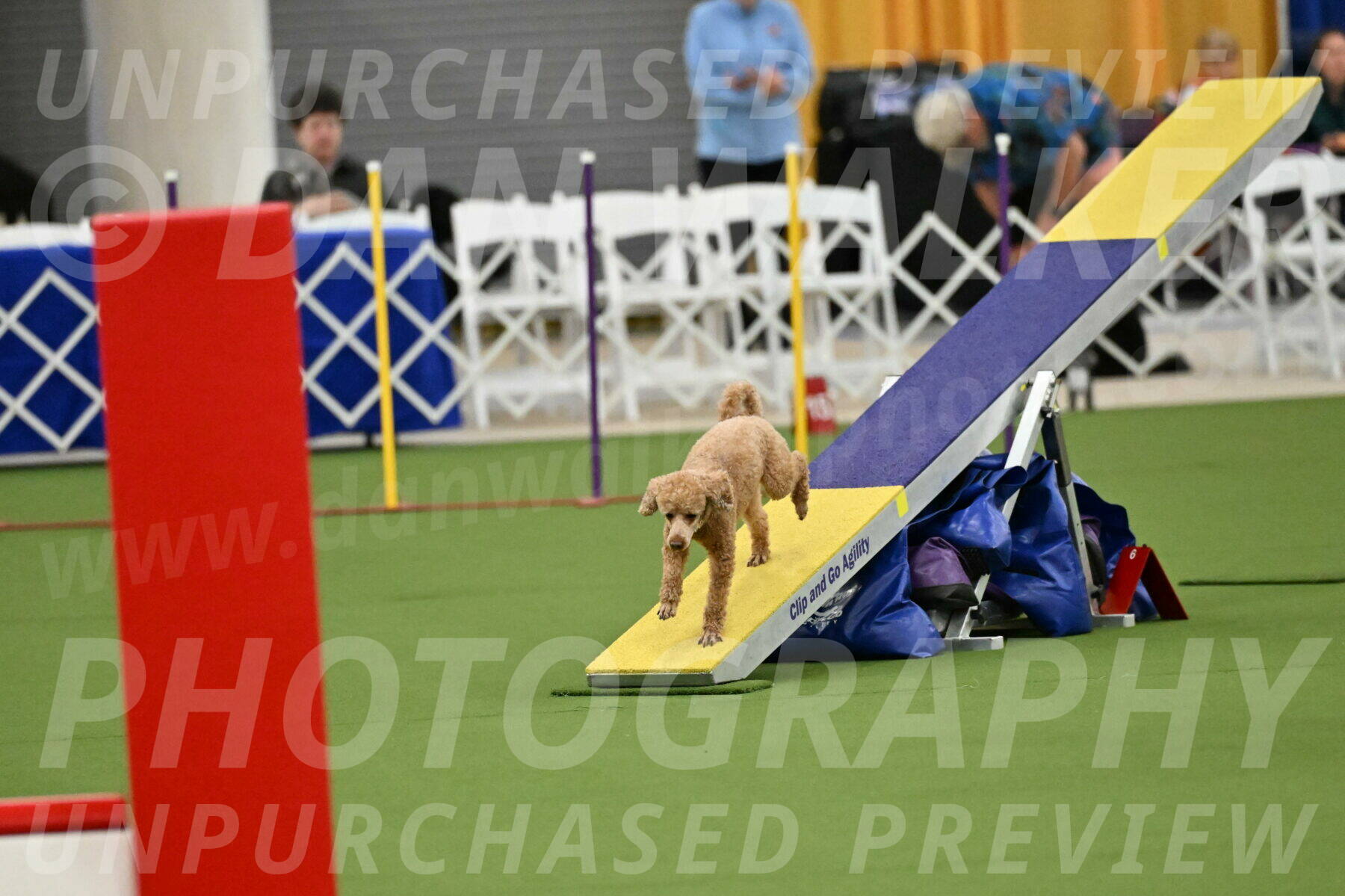 MAS-EX-STD-12-Inch_5109