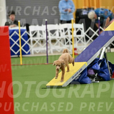 MAS-EX-STD-12-Inch_5109