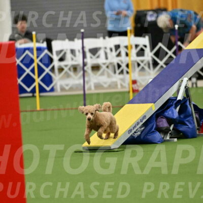 MAS-EX-STD-12-Inch_5112