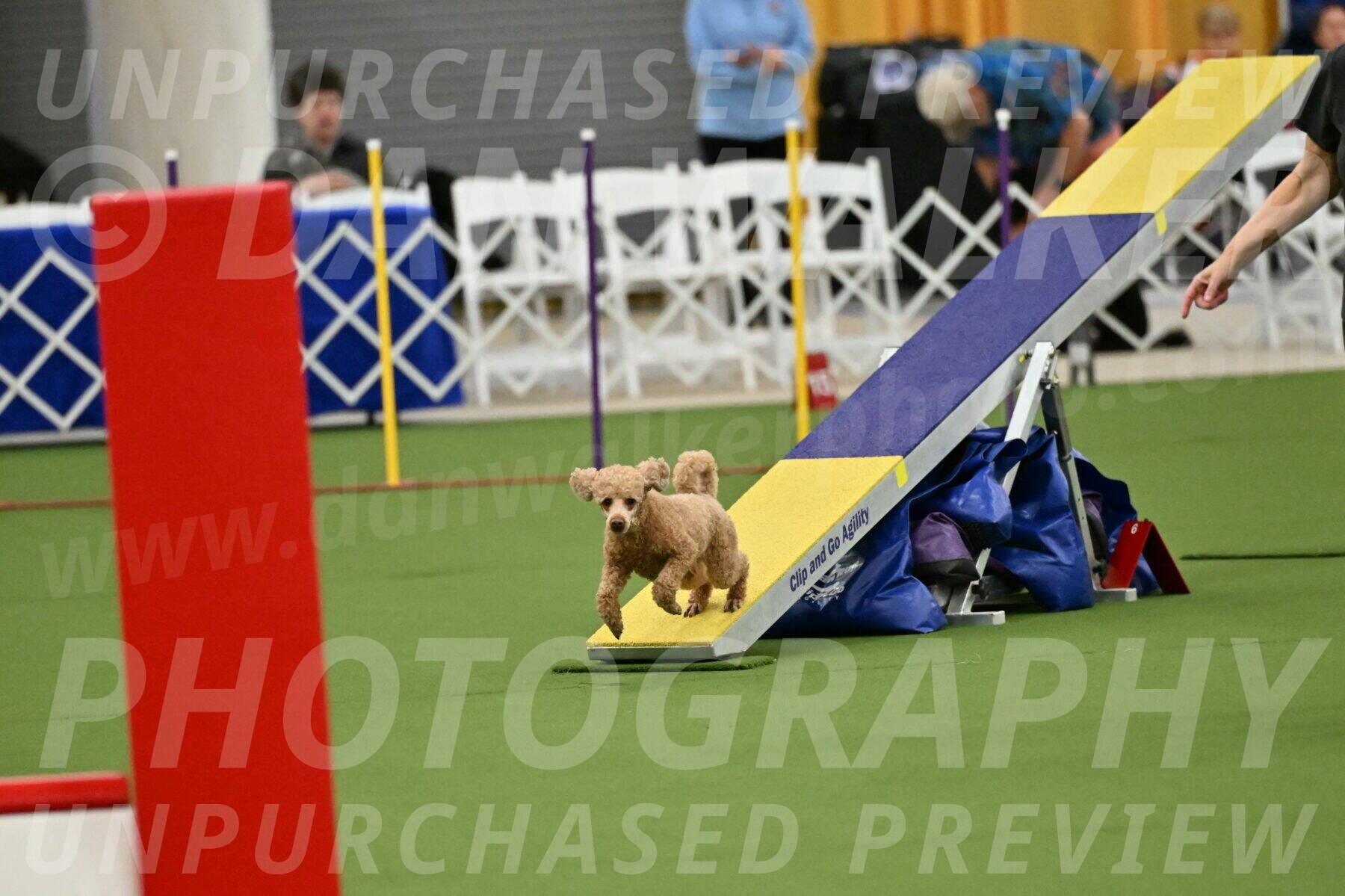 MAS-EX-STD-12-Inch_5112