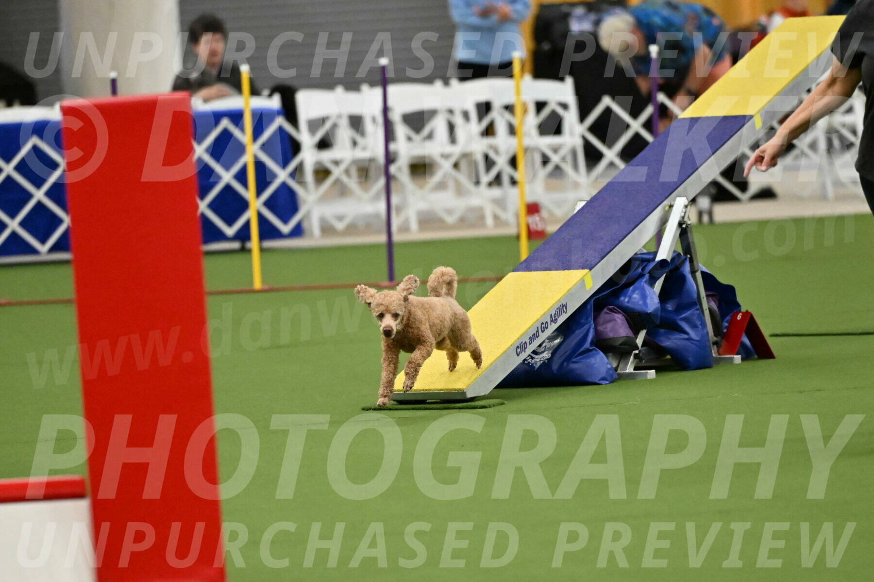 MAS-EX-STD-12-Inch_5113