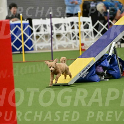 MAS-EX-STD-12-Inch_5113