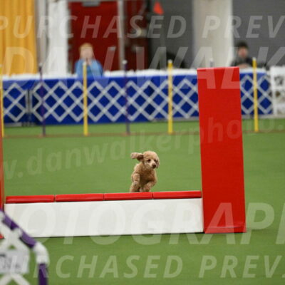 MAS-EX-STD-12-Inch_5118