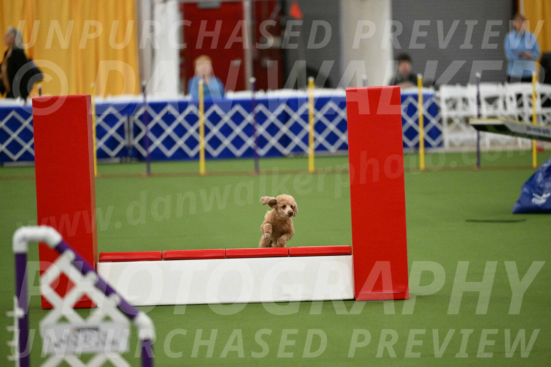 MAS-EX-STD-12-Inch_5118